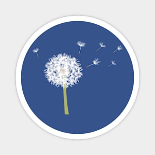 Dandelion Magnet